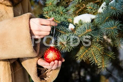 Woman Hanging A Red Christmas Ball On Fir Closeup.
