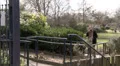 Woman is happy as she walks along path on phone HD Footage