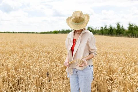 A woman in hat standing on a wheat field. She is holding a bouquet of spikele Stock Photos