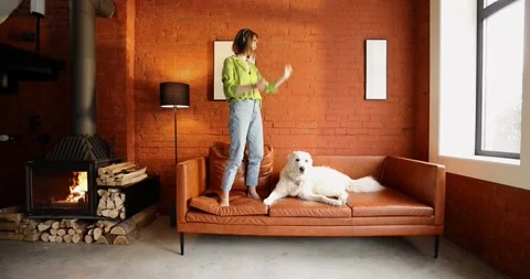 Woman having fun with her dog on a couch at home Stock Footage 201511420