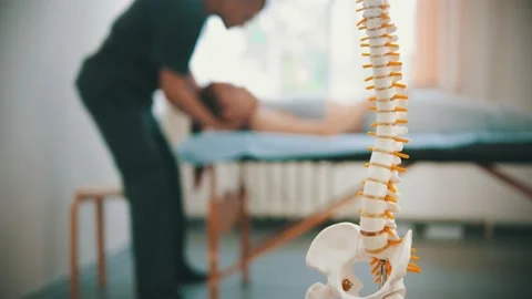 Woman having an osteopathic treatment - a plastic sample of human spine on the Stock Footage 135990953