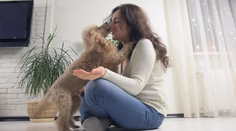 Woman with her dog on the floor at the home. Stock Footage 59162737