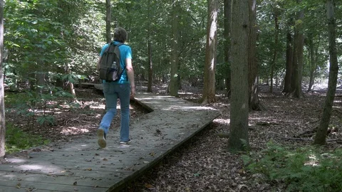 Woman hikes down a boardwalk trail in the forest 4K Stock Footage 94294853