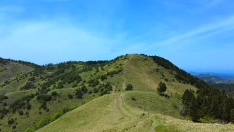 Woman hiking along gently sloping mountain ridge with beautiful fresh greenery. Stock Footage 308497853