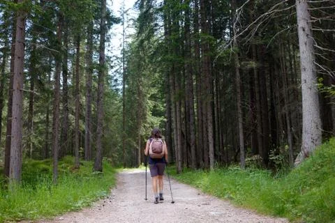 Woman hiking into the forest Stock Photos