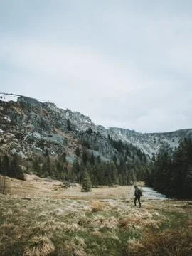 Woman hiking through a valley on a mountain with green trees and snow on the top Stock Photos