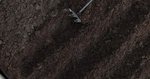 Woman hoeing in her garden, breaking up soil to prepare for planting vegetables. Stockbeeldmateriaal 333401341