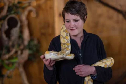 Woman holding an albino python snake 写真素材