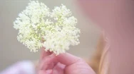 Woman Holding Elderflower In Garden Stock Footage