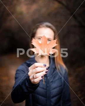 Woman holding a fallen orange color plane leaf in front of her face during au Stock Photos