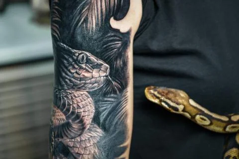 Woman holding python which is the sample for tattoo Stock Photos