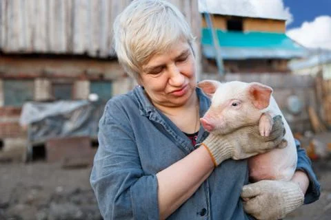 Woman holding a small pig Stock Photos