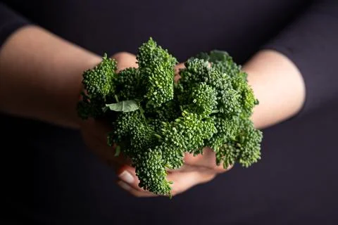 Woman holding Tenderstem Broccoli bundle. fresh raw vegetables. Healthy food. Stock Photos