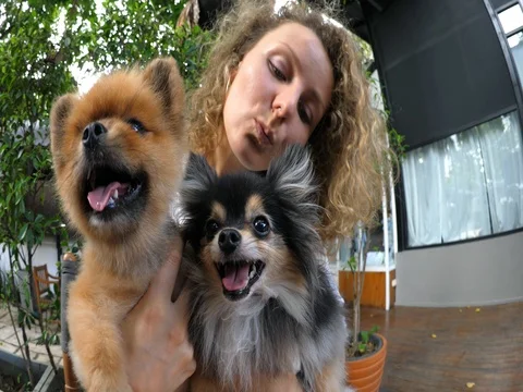 Woman Holding Two Pomeranian Cute Dogs Outdoors Stock Footage