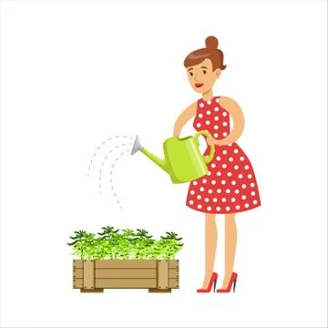 Woman Housewife Watering The Plants In The Pot, Classic Household Duty Of Stock Illustration