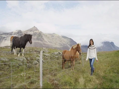 Woman on Iceland smiling with Icelandic horses running having fun full of joy Stock Footage
