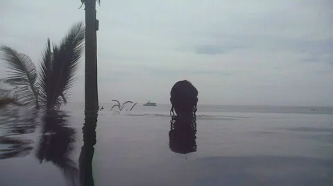 Woman in Infinity Pool Stock Footage 736046