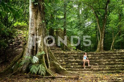 A woman inspects less studied archaeological structures in the jungle in the Stock Photos