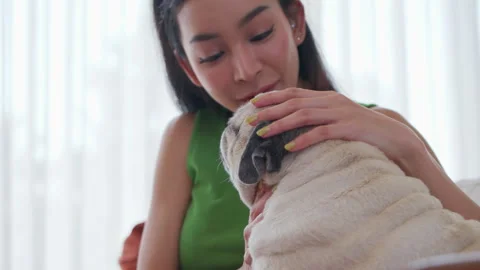 A woman interacts lovingly with her pug at home, sharing a peaceful afternoon Stock Footage 303698486