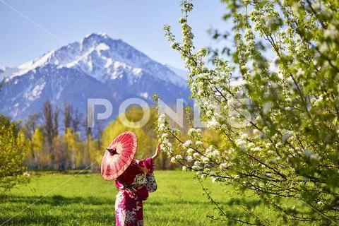 Woman in Japan costume at cherry blossom Stock Photos