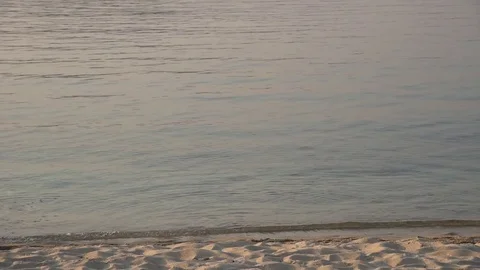 Woman jogging on the beach. Slow motion Stock Footage