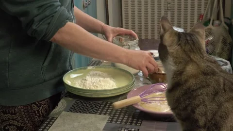 Woman in the kitchen preparing schnitzels Stock Footage 334522365
