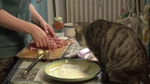 Woman in the kitchen preparing schnitzels Stock Footage 334522370