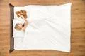 The woman lay on the bed with the soft toy. View from above Photo