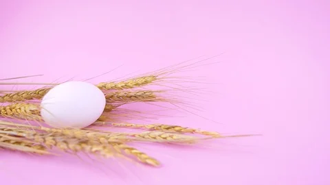 A woman lays Easter eggs on wheat ears. Stock Footage 122289151