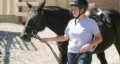 Woman Leading Horse HD Footage