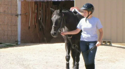 Woman Leading Horse Stock Footage