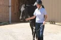 Woman Leading Horse Footage