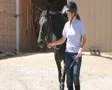 Woman Leading Horse SD Footage