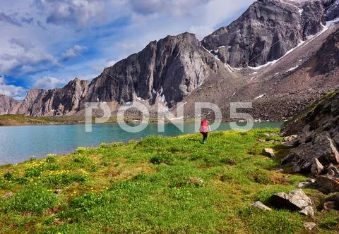 Woman leaves on the background of wild nature Stock Photos