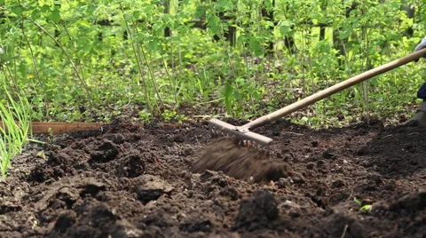 The woman leveled the soil with a rake Stock Footage 63065282