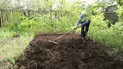 The woman leveled the soil with a rake Stock Footage 63065517