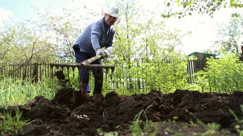 The woman leveled the soil with a rake Stock Footage 63065804