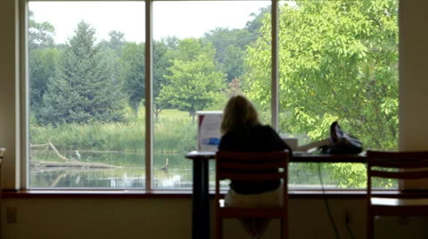 Woman in library studies in front of window Видео 49217314