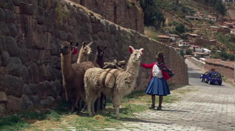 Woman with llamas walking toward camera on a steep street in Cusco, Peru Stock Footage