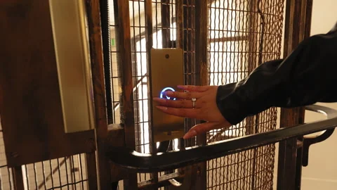 Woman with Long Nails Pushes Elevator Button, Close Up, Vintage Elevator, Video stock 244198306