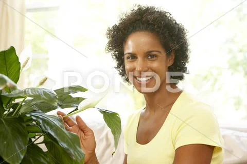 Woman looking after houseplant Stock Photos