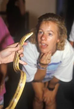 A woman looking at an Albino Python snake Stock Photos