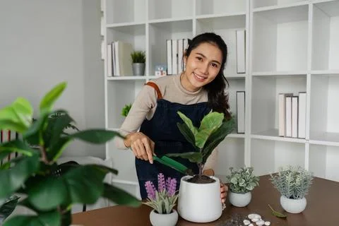 Woman looking at camera while putting plants in pots, doing hobby Stock-Fotos