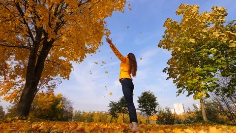 Woman looking on falling maple leaves, slow motion Stock Footage 97359833