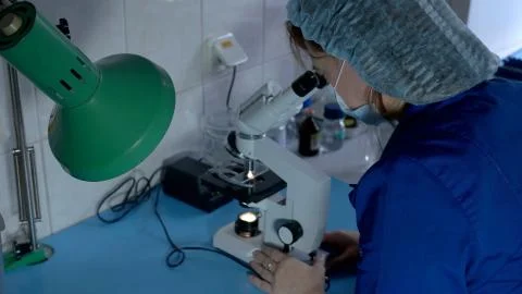 Woman looking into microscope. Stock Photos