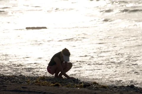 Woman looking for shells at the beach Stock Photos