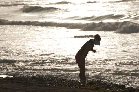 Woman looking for shells at the beach Stock Photos