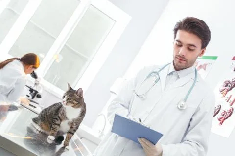 Woman looking through a microscope, man write a medical history Stock Photos