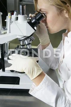 A Woman Looking Through A Microscope