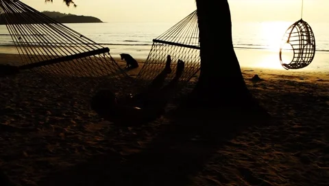 Woman lying on hammock and dog wandering around exotic tropical beach at sunset Stock Footage